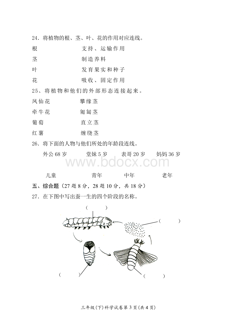 新教科版三年级下科学期中试卷.doc_第3页