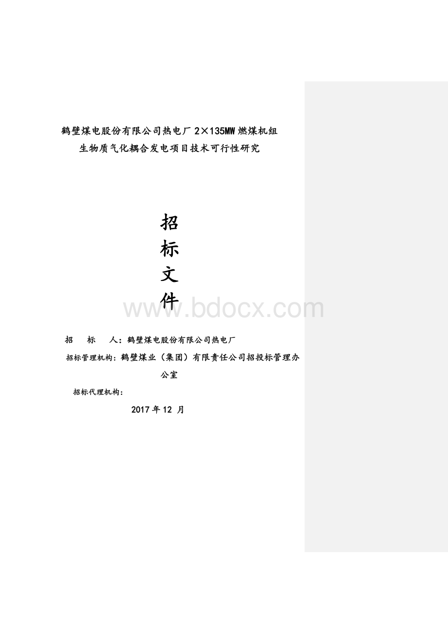 生物质气化耦合发电项目可行性研究报告招标文件商务_精品文档.doc