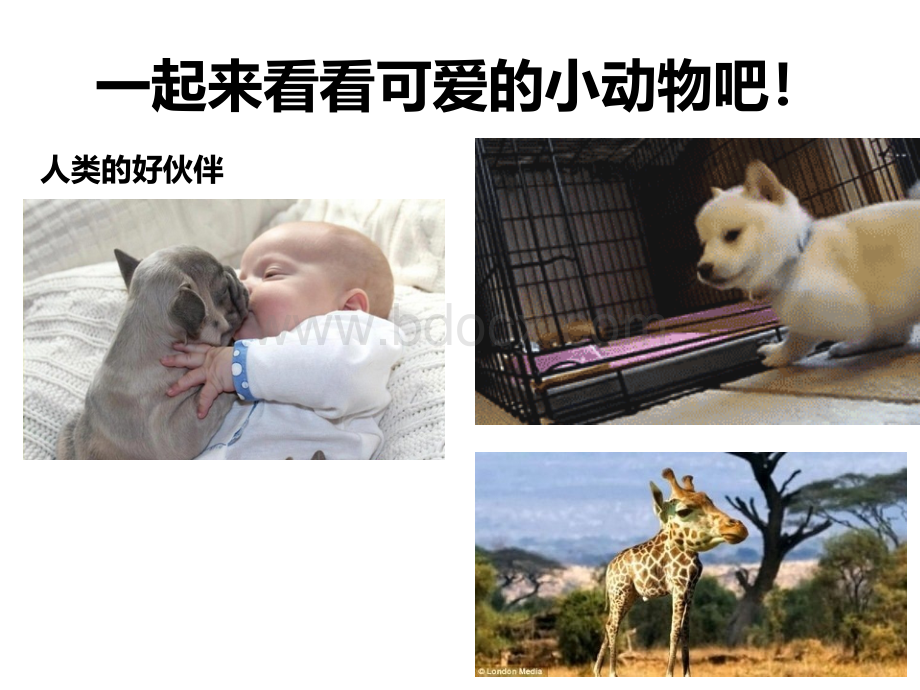 陶艺13课：动物的制作PPT资料.ppt_第3页