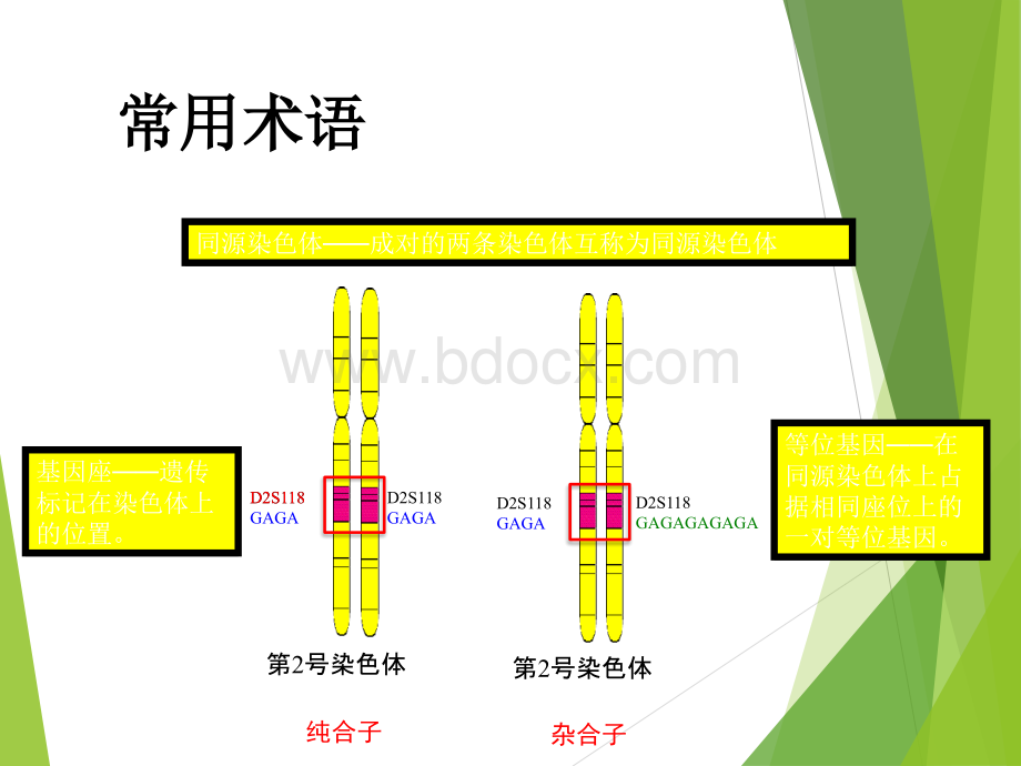 HLA基础概念介绍_精品文档.ppt_第3页