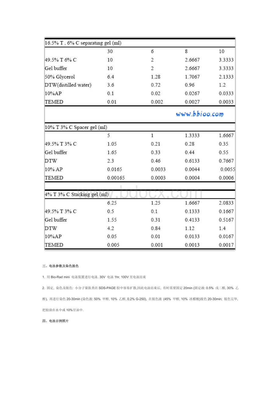 小分子蛋白电泳技术分享_精品文档Word文档下载推荐.doc_第3页