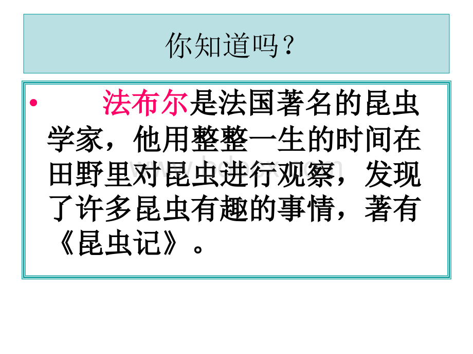 新教科版六年级下册1.2放大镜下的昆虫世界.ppt_第2页