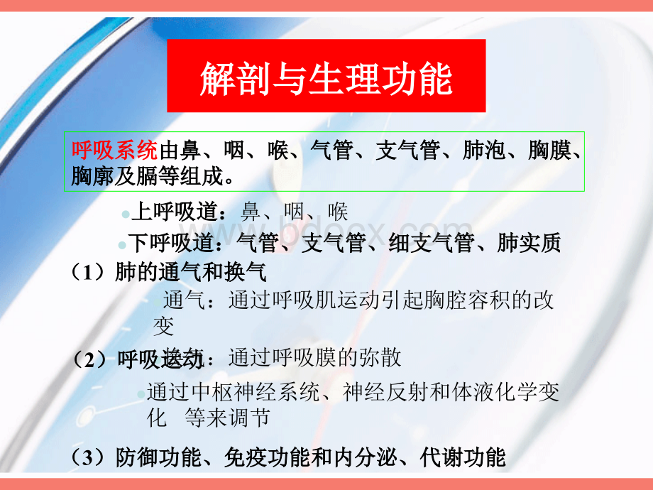 呼吸系统概述_精品文档.ppt_第3页