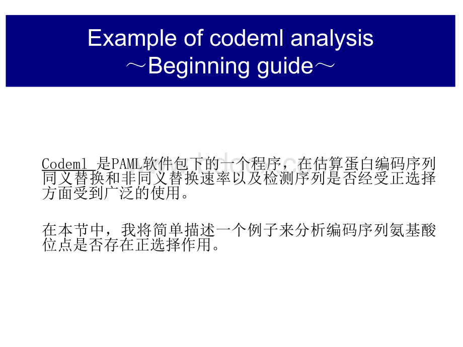 杨子恒PAML选择压力分析之codemldNdS_精品文档.ppt_第1页