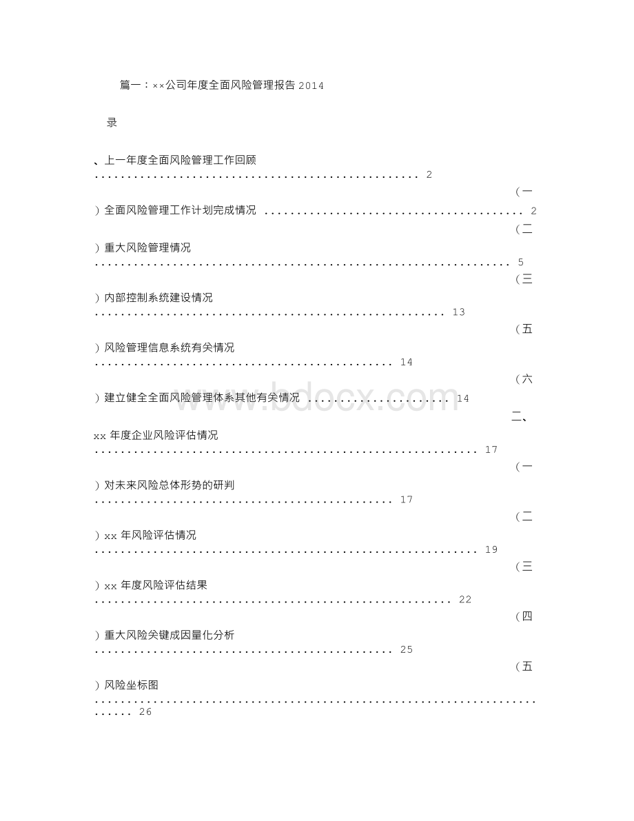 公司风险管理报告.doc