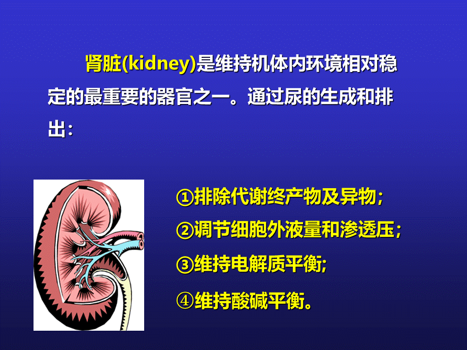 影响尿生成因素_精品文档优质PPT.ppt_第2页