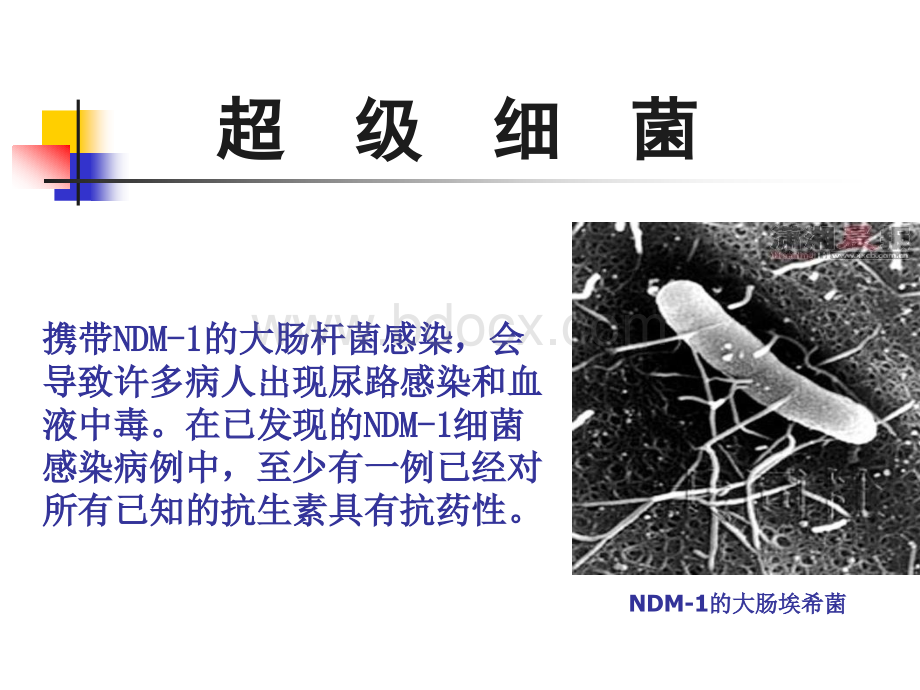 病原微生物第9章肠杆菌科PPT推荐.ppt_第3页