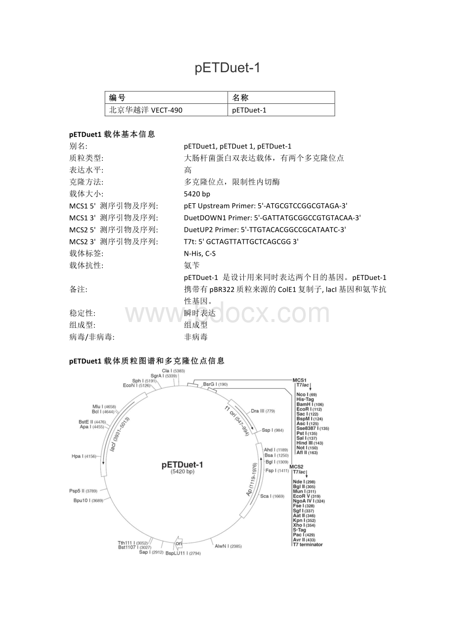 pETDuet-1大肠杆菌表达载体说明_精品文档资料下载.pdf