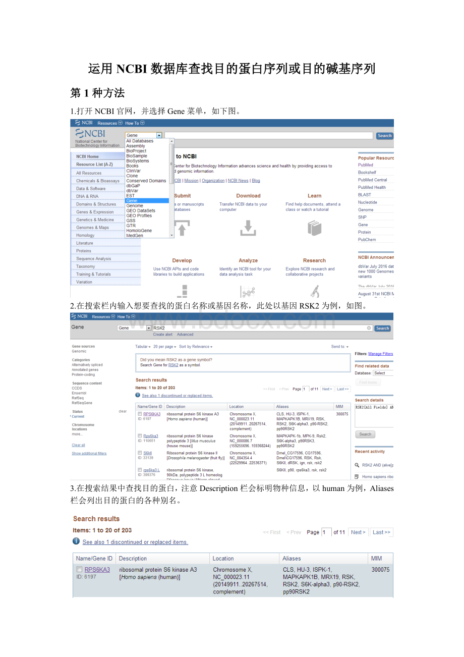 如何用NCBI和uniprot数据库查找目的蛋白的氨基酸序列或目的基因的碱基序列mRNA序列_精品文档.doc_第1页