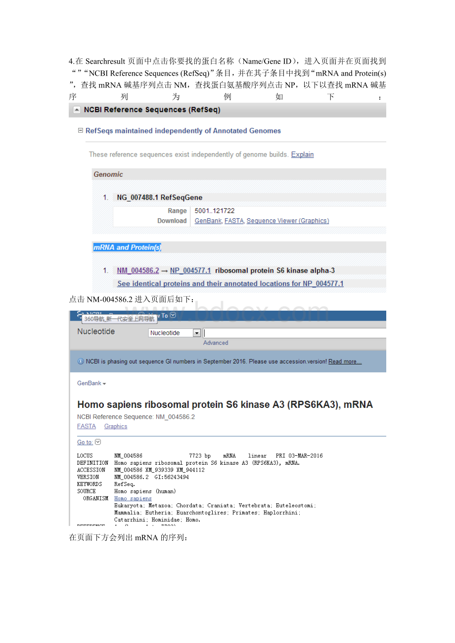 如何用NCBI和uniprot数据库查找目的蛋白的氨基酸序列或目的基因的碱基序列mRNA序列_精品文档.doc_第2页