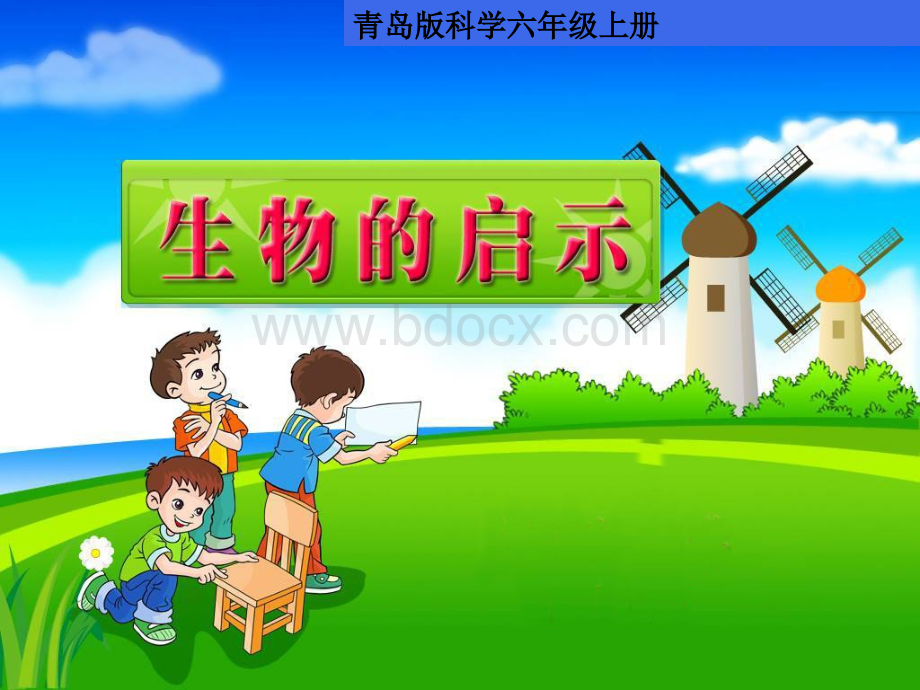 生物的启示优质PPT.ppt