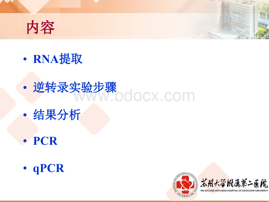 RNA提取及PCR相关技术_精品文档PPT格式课件下载.ppt_第1页