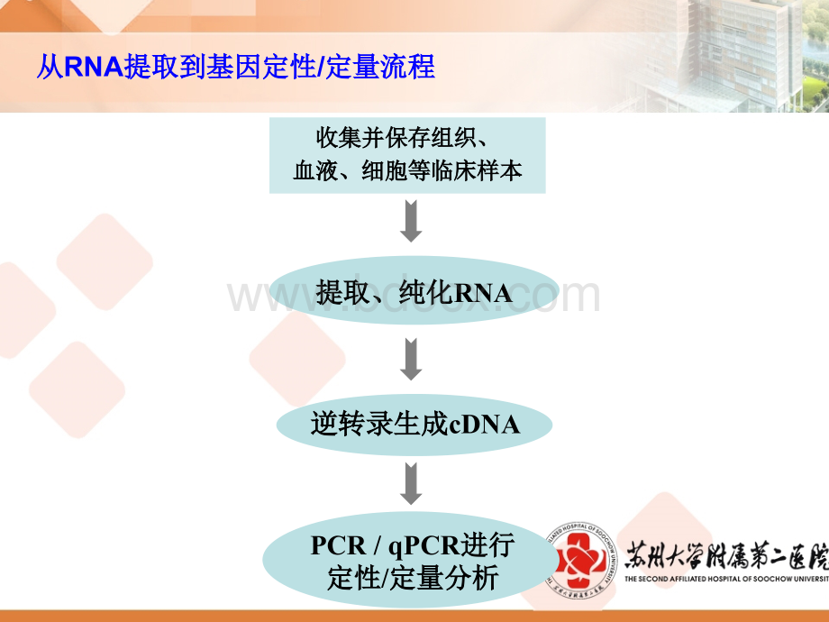 RNA提取及PCR相关技术_精品文档PPT格式课件下载.ppt_第2页