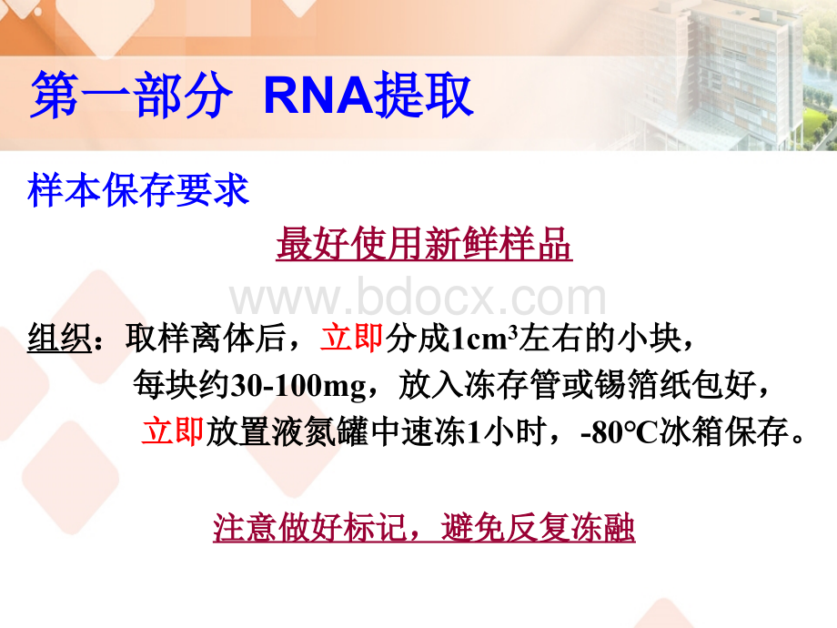 RNA提取及PCR相关技术_精品文档PPT格式课件下载.ppt_第3页