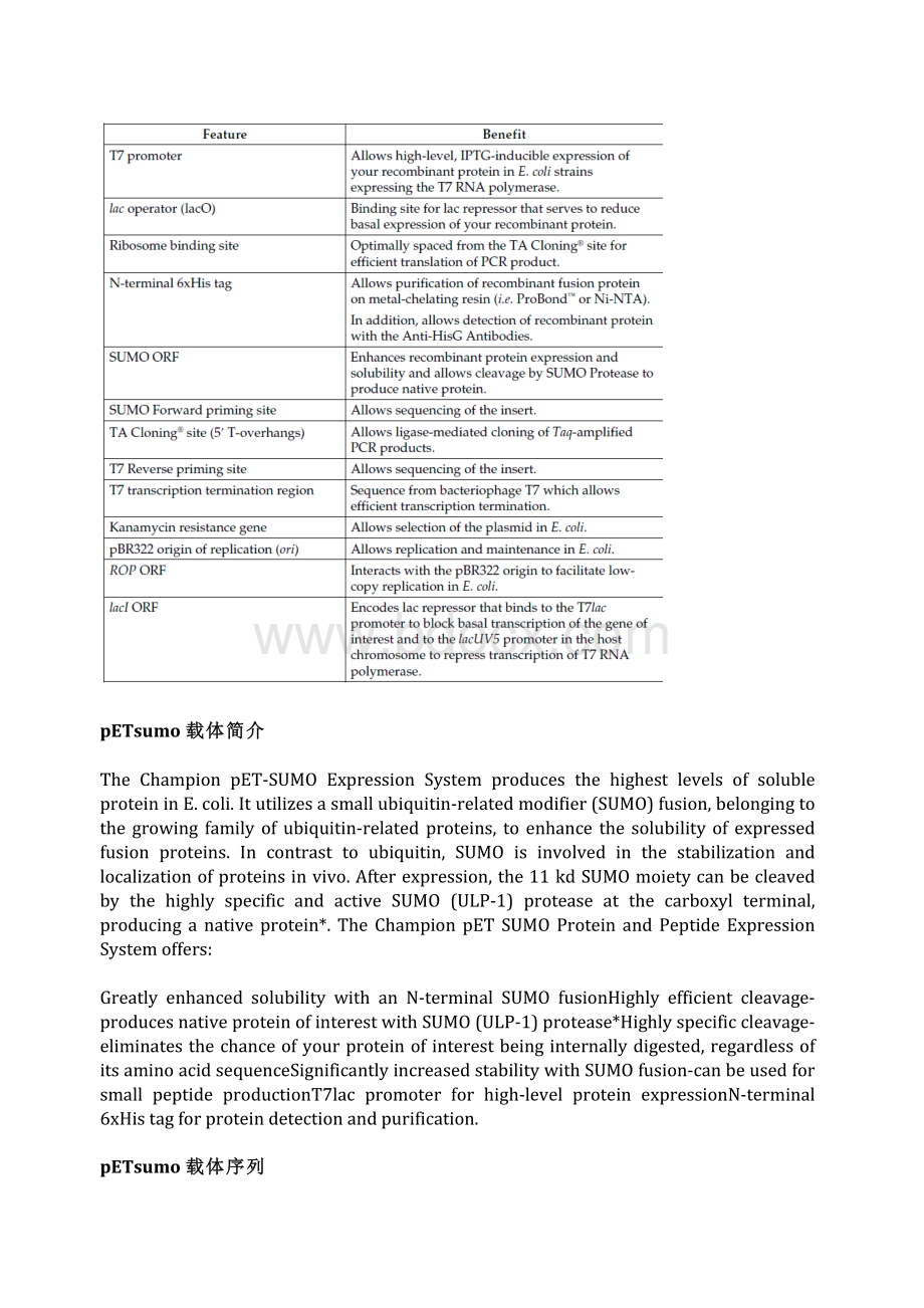 pET-SUMO大肠杆菌表达载体说明_精品文档资料下载.pdf_第2页