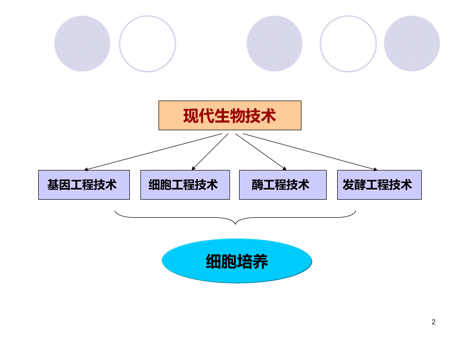 细胞分离与培养技术_精品文档PPT课件下载推荐.ppt_第2页