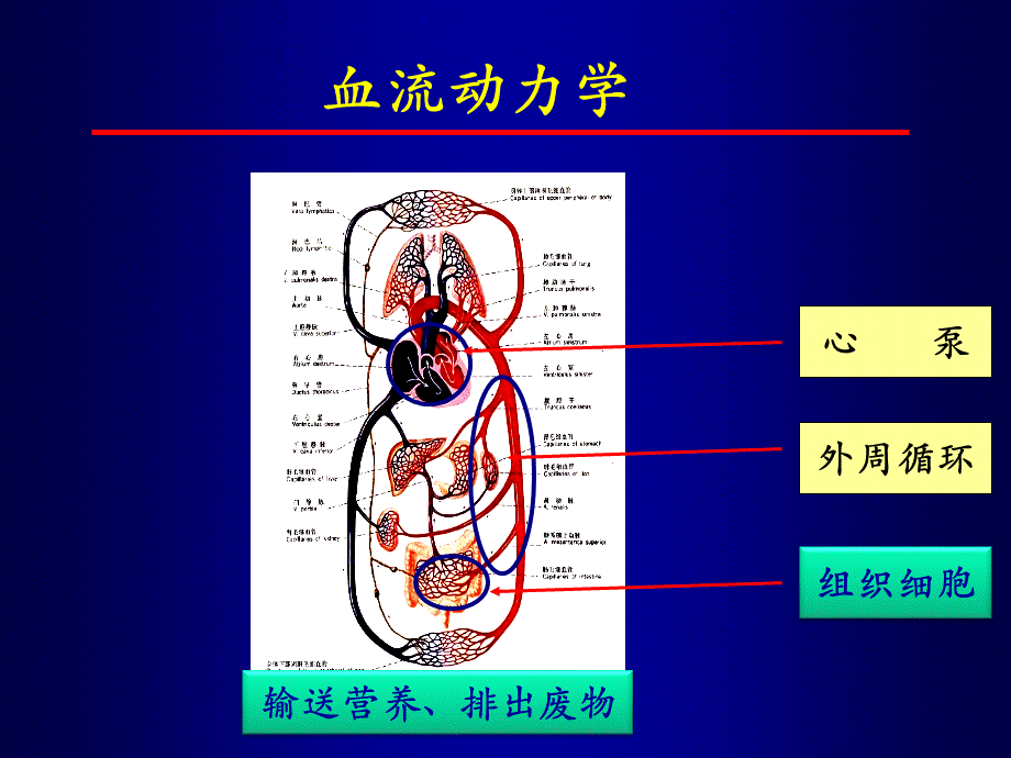 血流动力学与氧代谢监测-陆国平_精品文档PPT格式课件下载.ppt_第2页