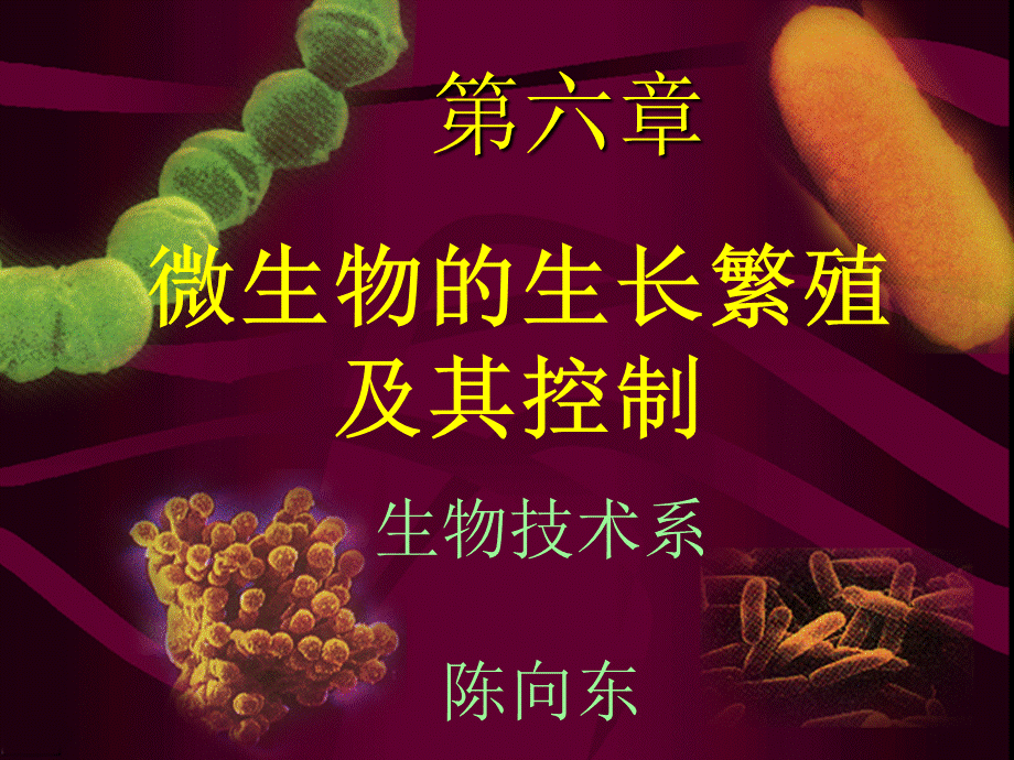 沈萍微生物原版PPT第6章PPT推荐.ppt_第1页