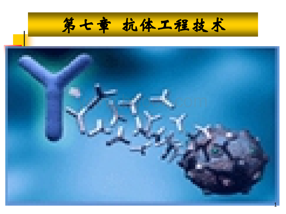 抗体工程技术_精品文档PPT资料.ppt