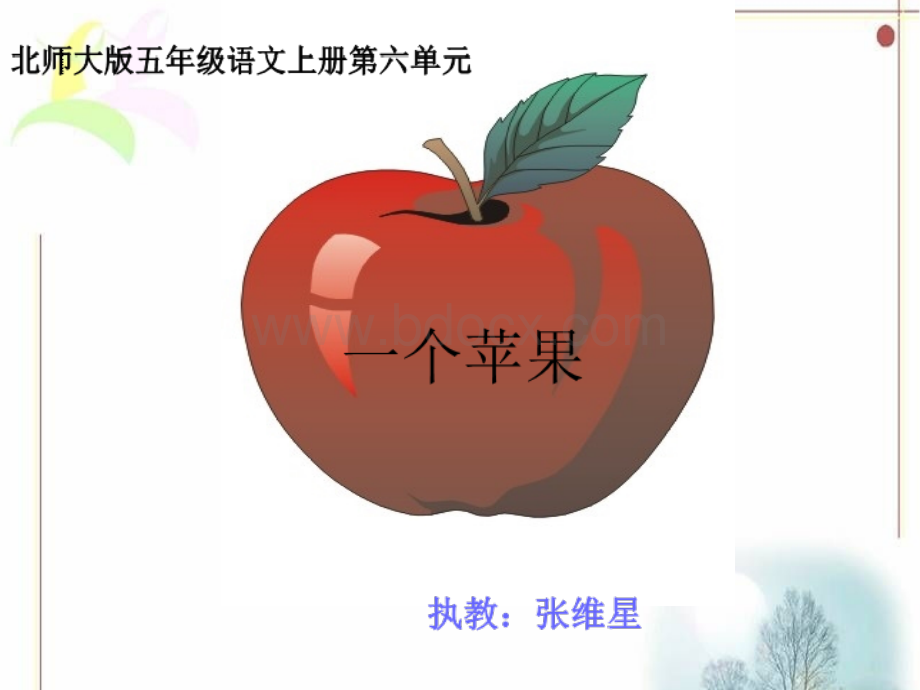 一个苹果课件.ppt