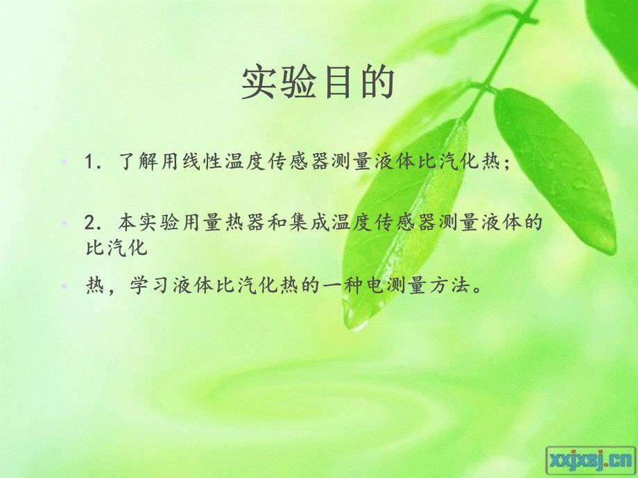 液体比汽化热的测定_精品文档PPT文件格式下载.ppt_第2页