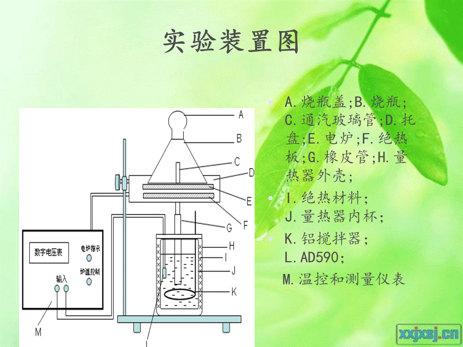 液体比汽化热的测定_精品文档PPT文件格式下载.ppt_第3页