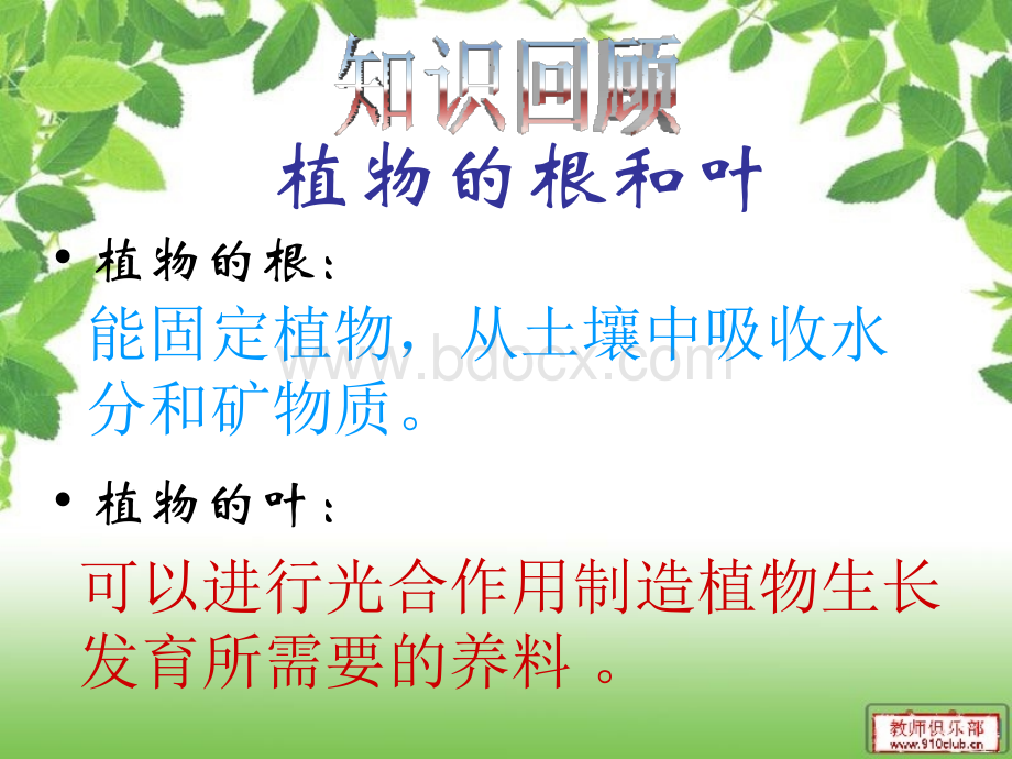 茎越长越高PPT.ppt