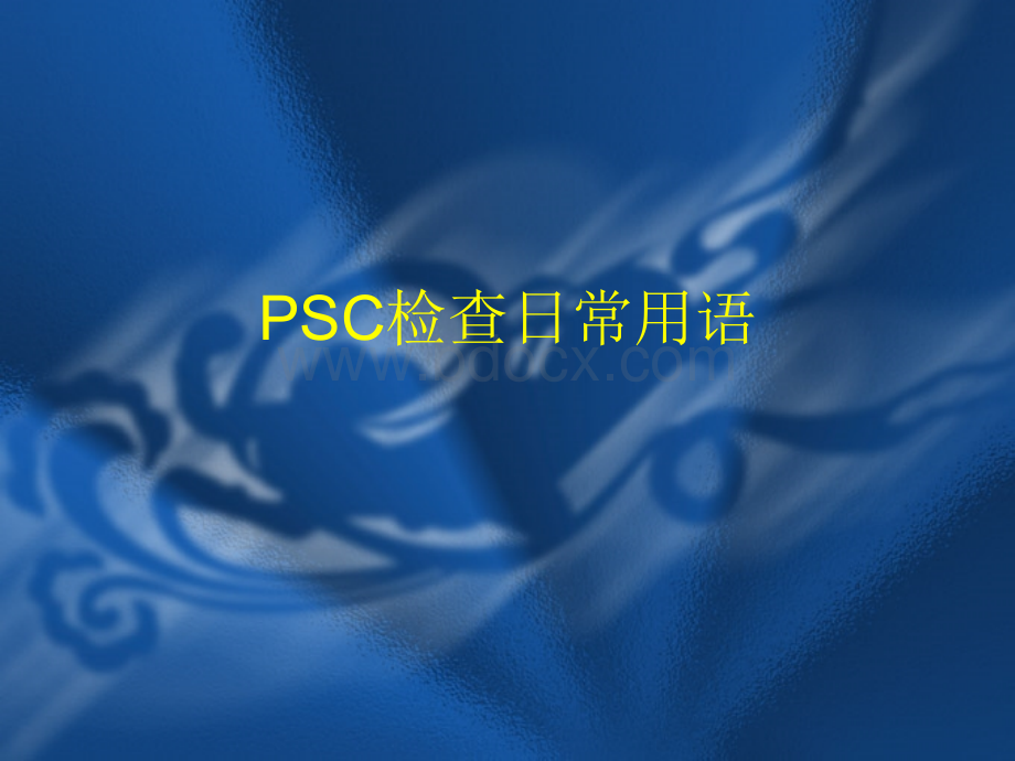 PSC常规检查用语1.ppt优质PPT.pptx