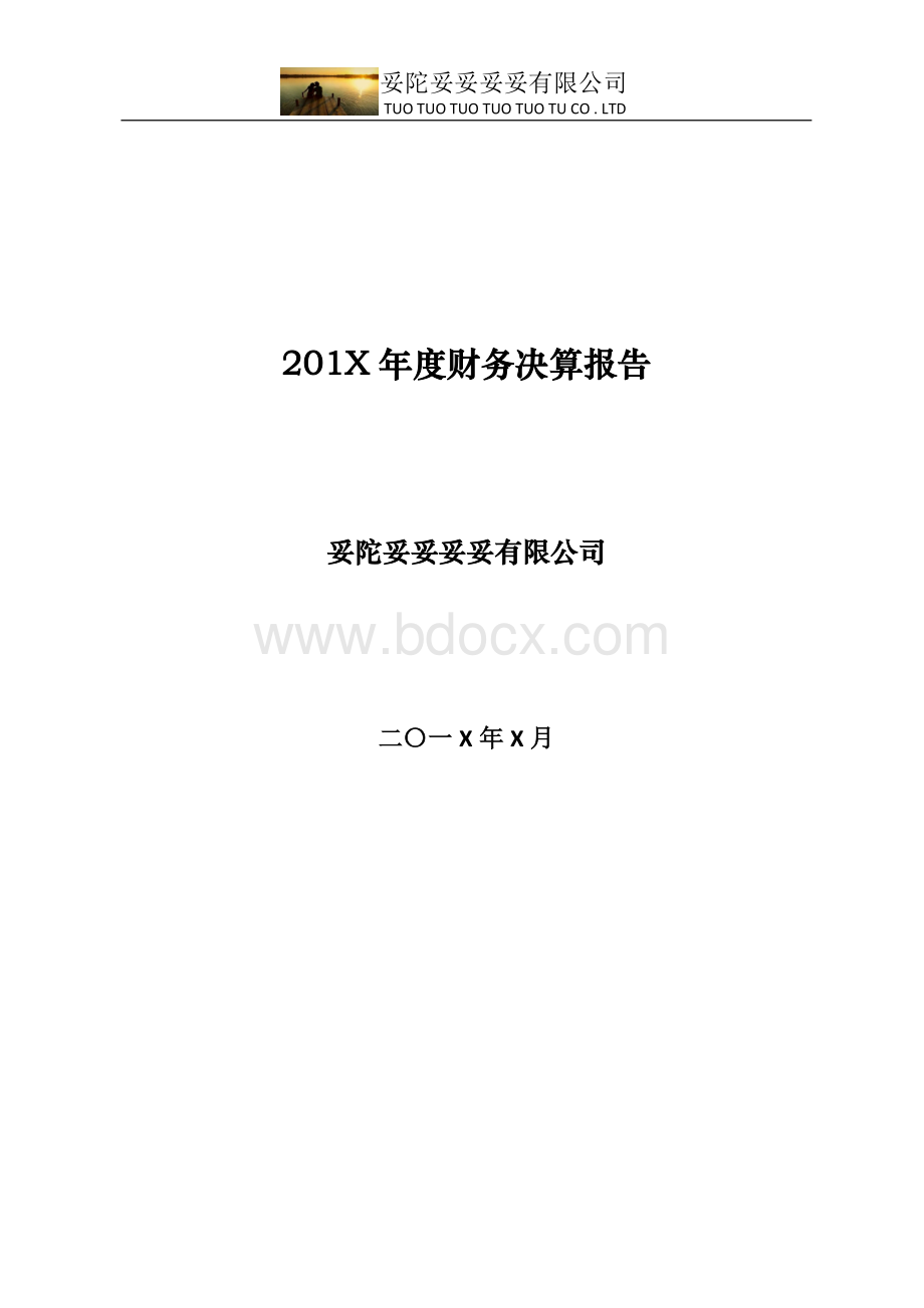 201X年度财务决算报告模板.docx_第1页