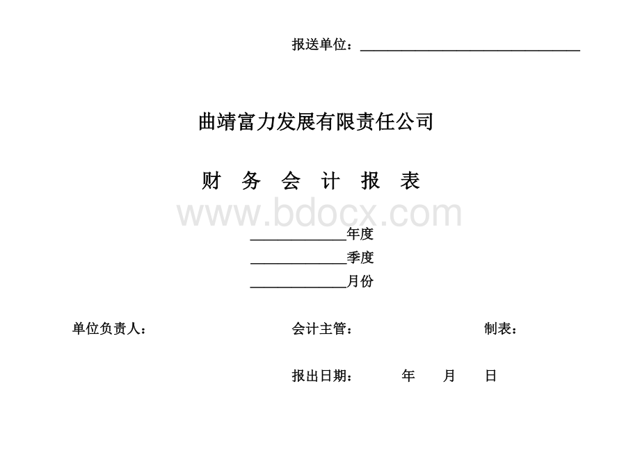 公司空白财务报表文档格式.doc_第1页