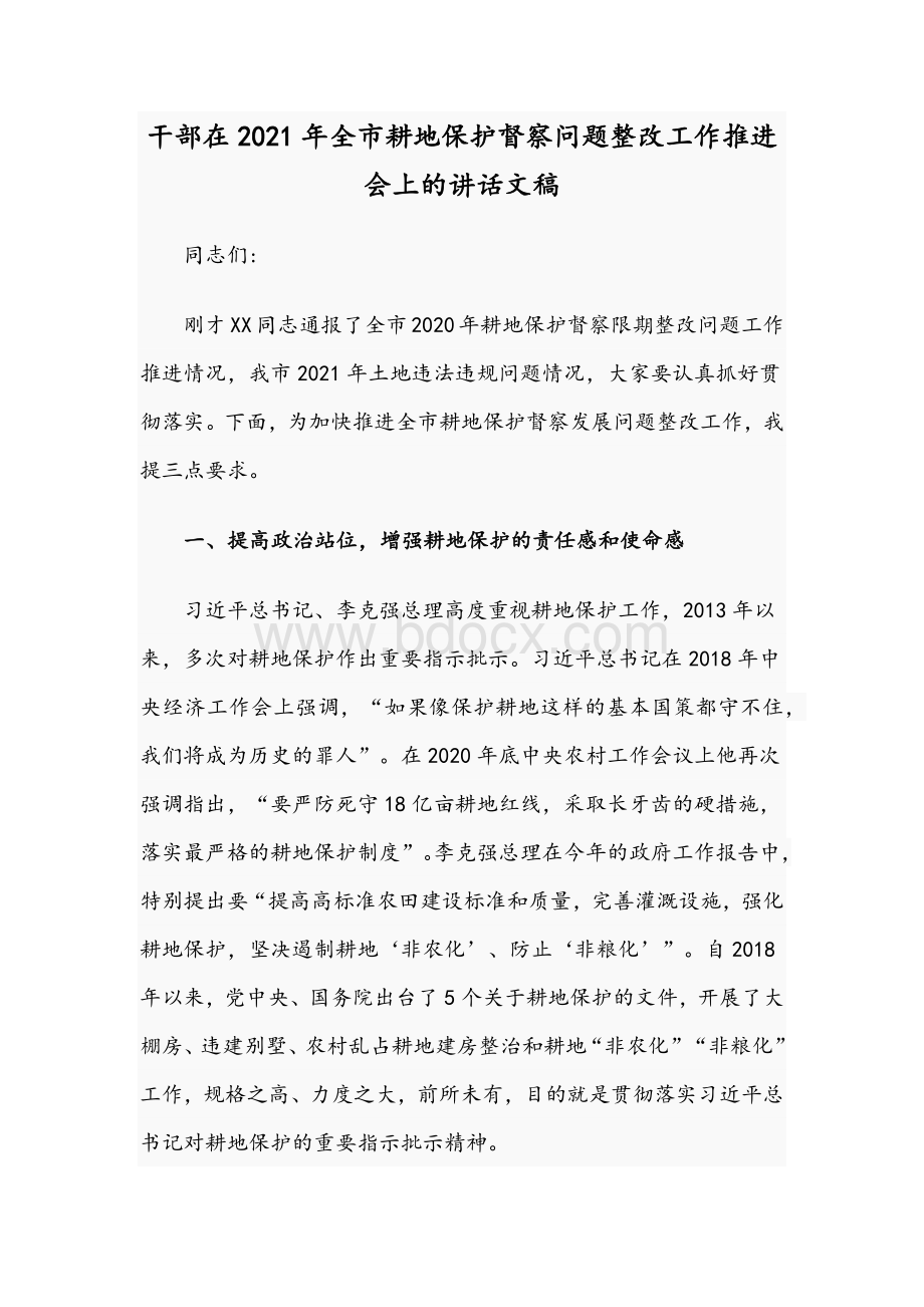 干部在2021年全市耕地保护督察问题整改工作推进会上的讲话文稿文档格式.docx