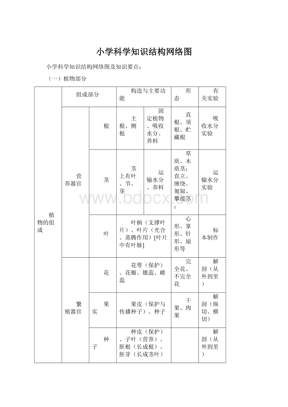 小学科学知识结构网络图.docx_第1页