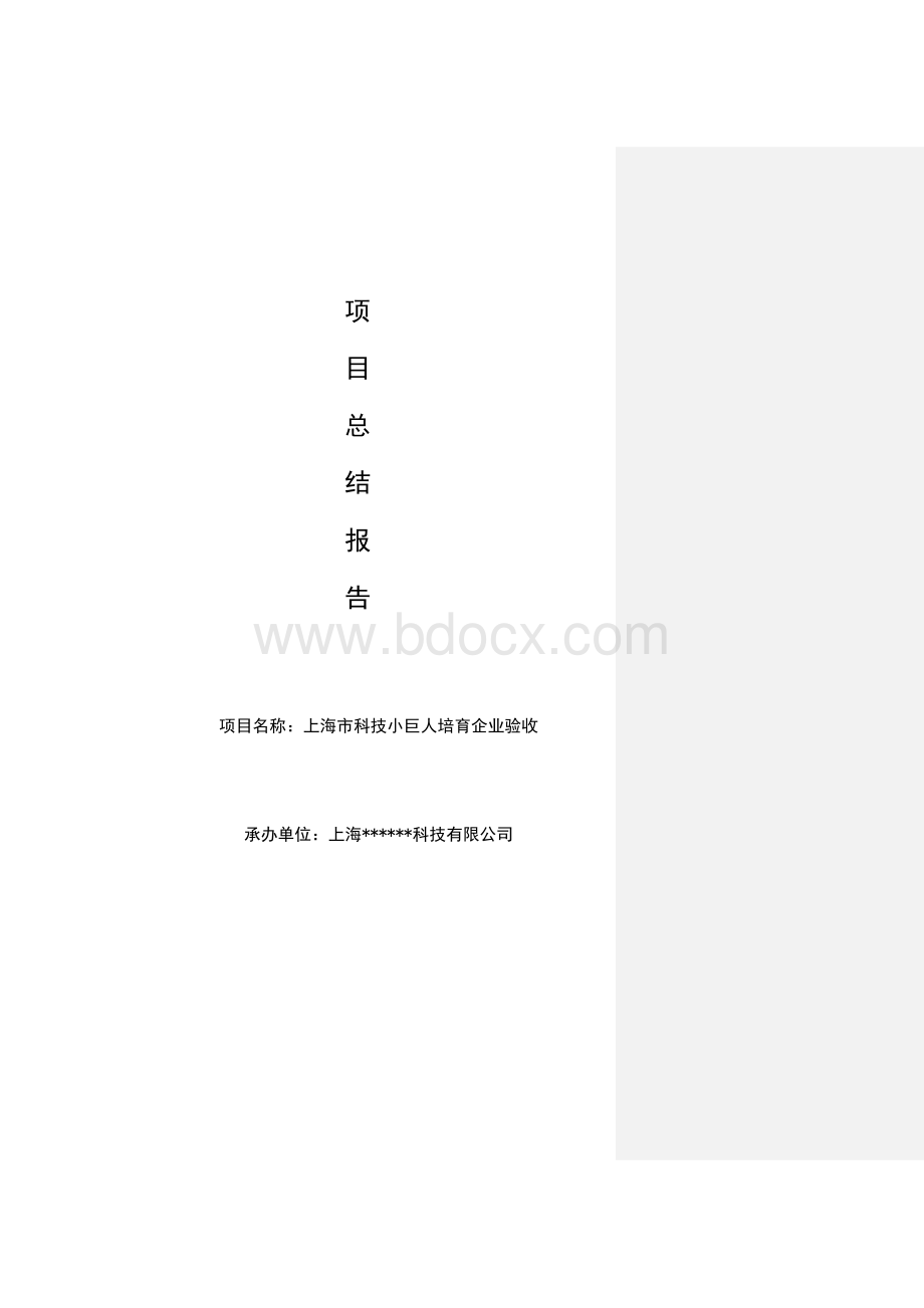 上海市培育型小巨人企业总结报告模版1Word下载.doc_第1页