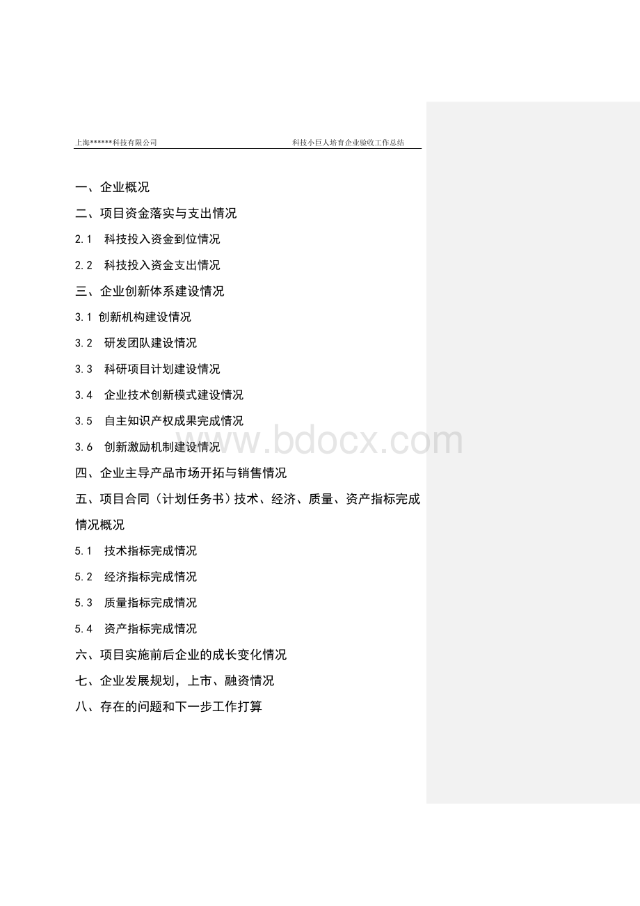 上海市培育型小巨人企业总结报告模版1Word下载.doc_第2页