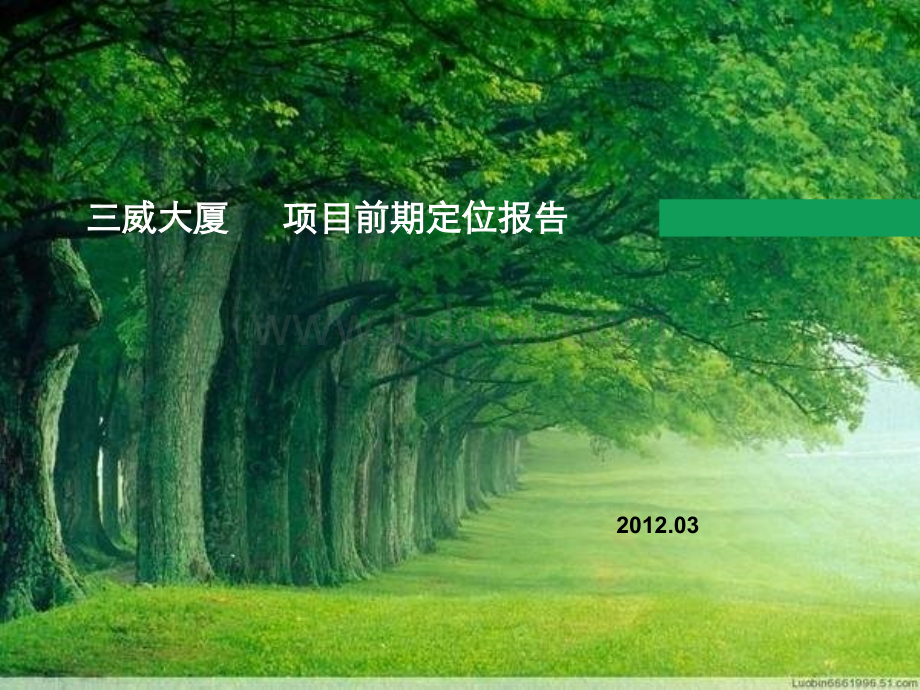 2012年03月济南三威大厦项目前期定位报告.ppt_第1页