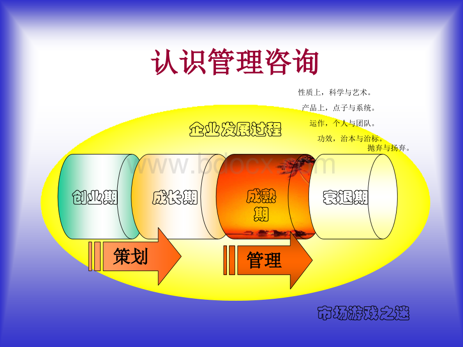 管理咨询顾问PPT文档格式.ppt_第3页