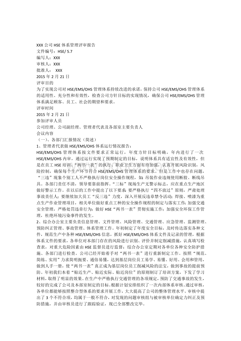 HSE管理评审报告.docx