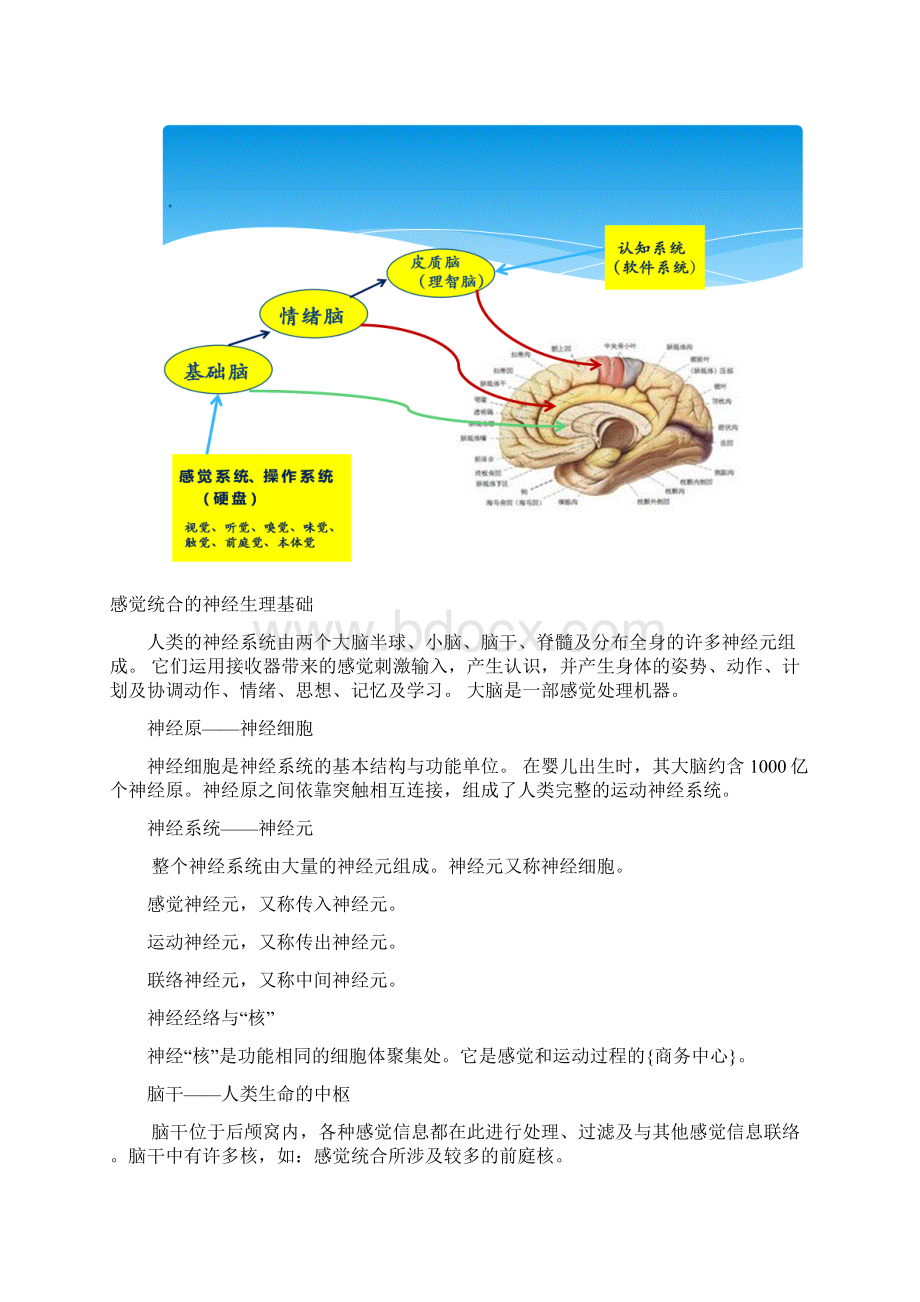 感觉统合高级教师培训讲义第四届Word下载.docx_第3页