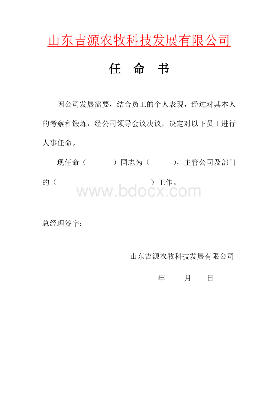 岗位任命书Word格式文档下载.doc_第1页