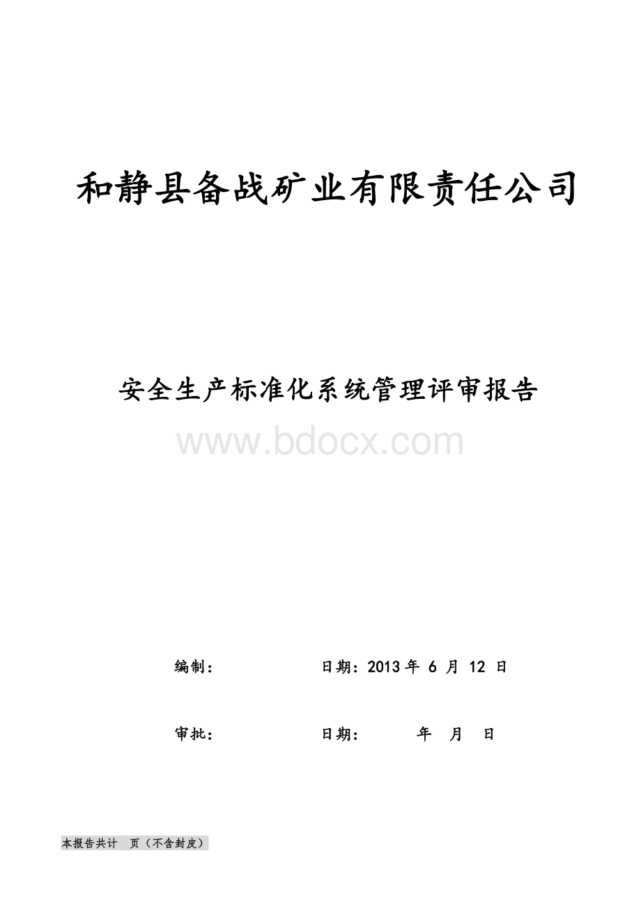 安全标准化系统管理评审报告Word文档格式.doc_第1页