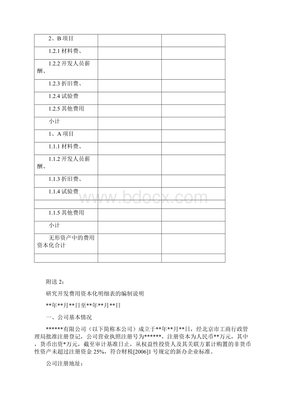 研究开发费用资本化专项审计Word下载.docx_第3页