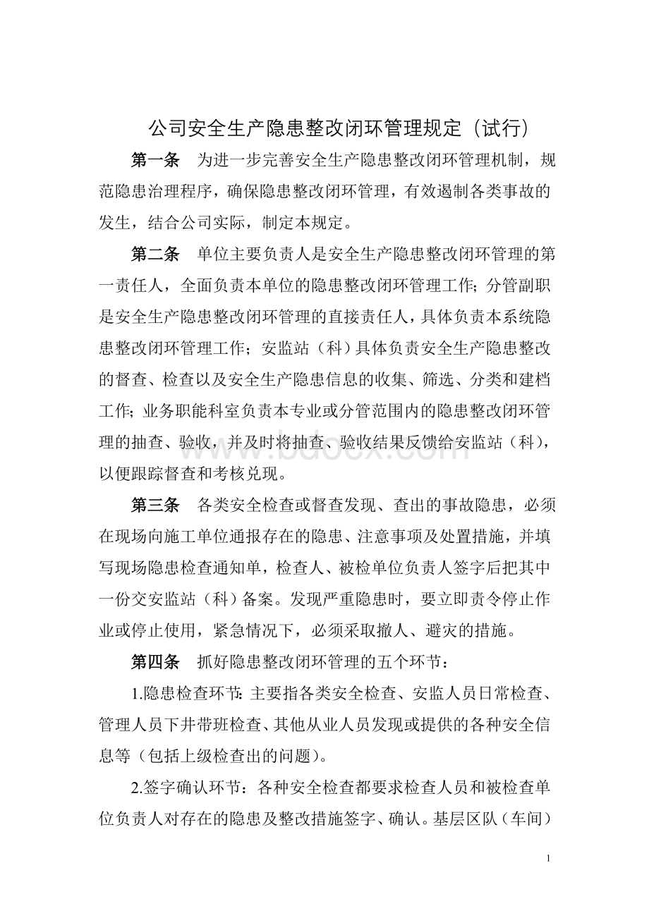 公司安全生产隐患整改闭环管理规定(试行).doc_第1页