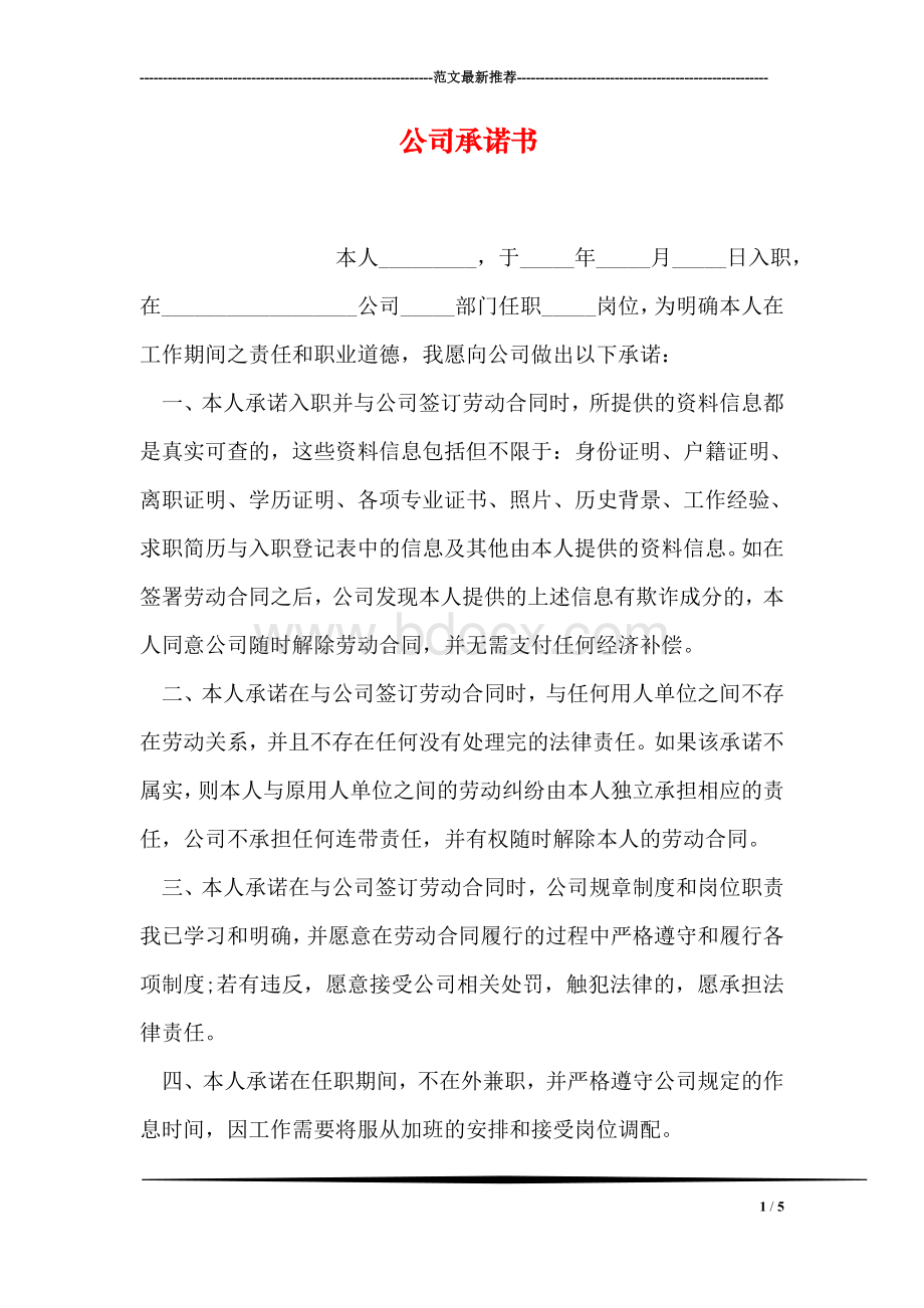 公司承诺书文档格式.doc