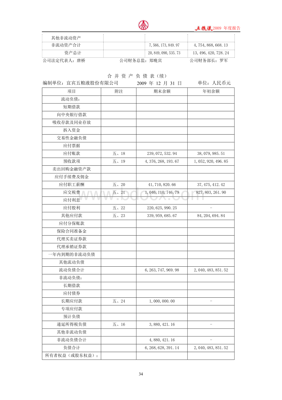 五粮液集团2009年财务报表.doc_第2页