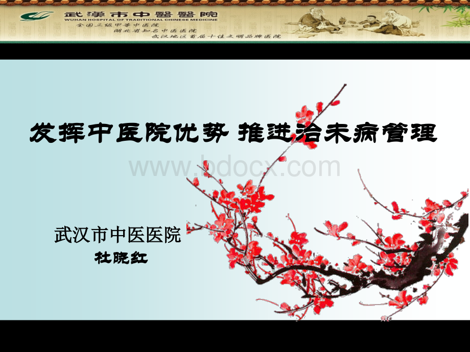 充分发挥中医院龙头优势2PPT资料.ppt_第1页