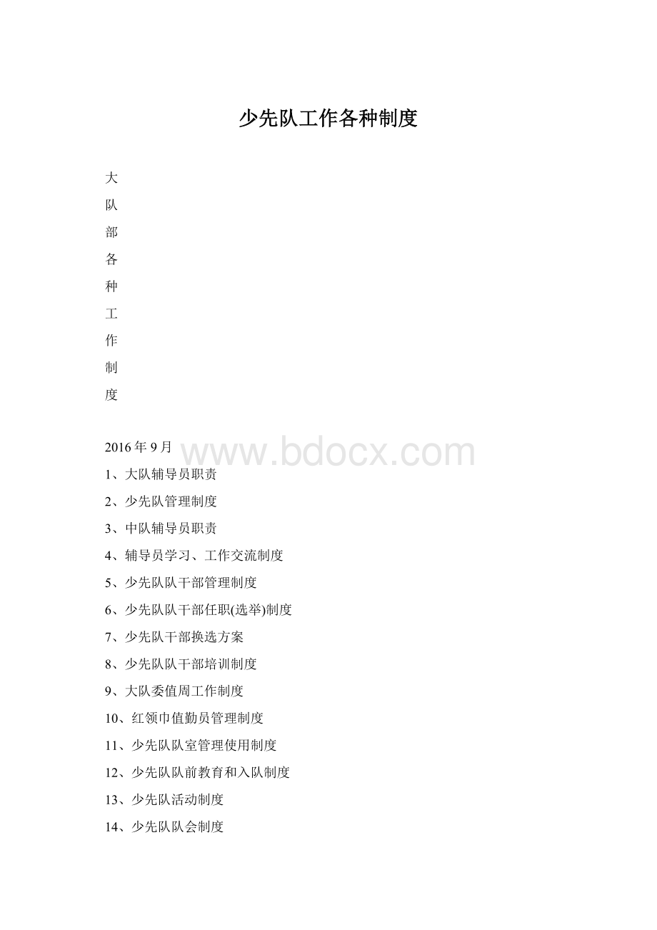 少先队工作各种制度Word格式文档下载.docx