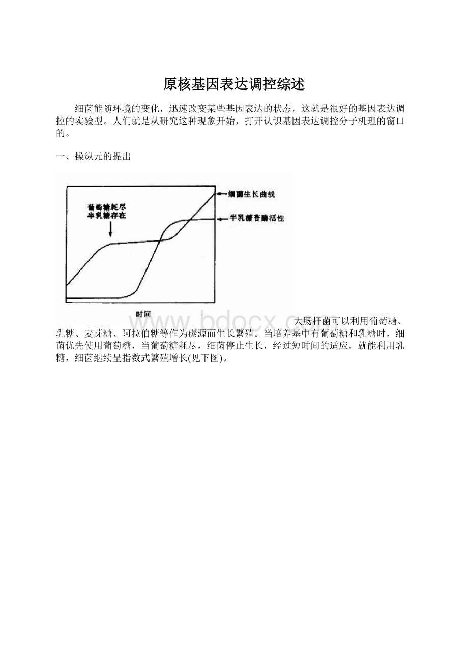 原核基因表达调控综述.docx