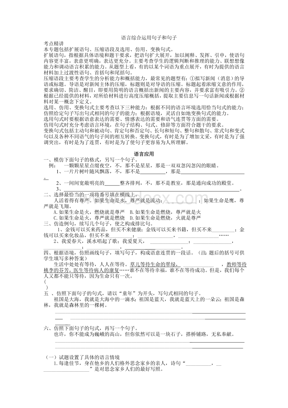 小升初语文语言运用Word文档格式.doc_第1页