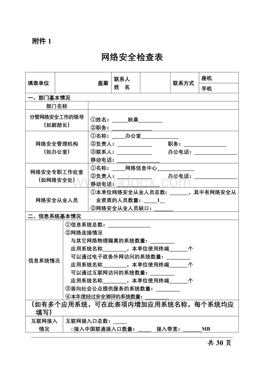 网络安全检查表格Word格式.doc