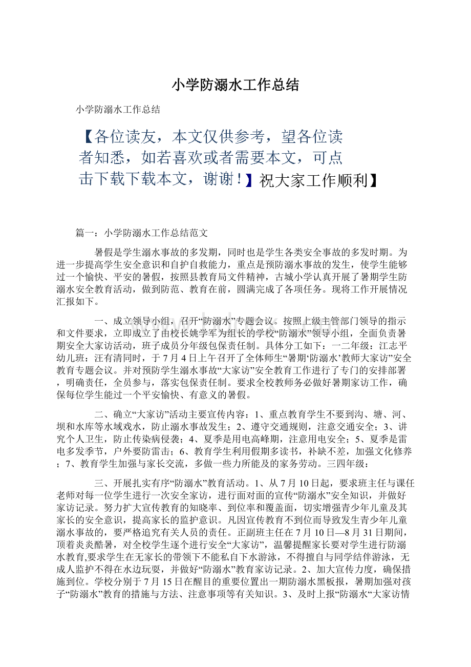 小学防溺水工作总结文档格式.docx